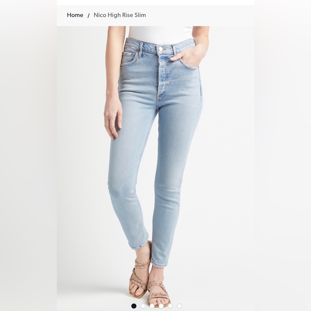 AGOLDE Nico High Rise Slim Jean in Cliffside